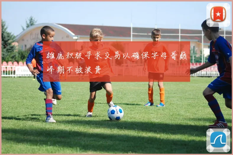 雄鹿积极寻求交易以确保字母哥巅峰期不被浪费