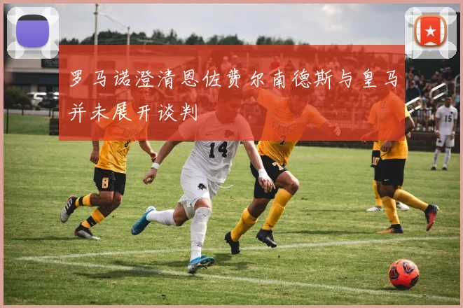 罗马诺澄清恩佐费尔南德斯与皇马并未展开谈判