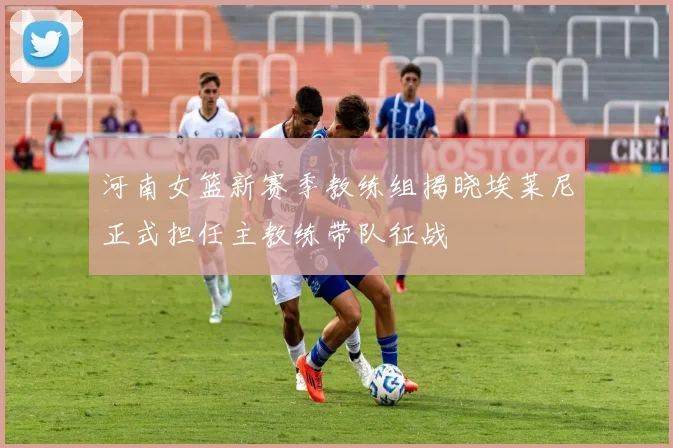 河南女篮新赛季教练组揭晓埃莱尼正式担任主教练带队征战