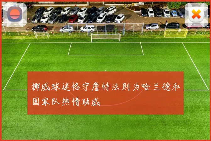 挪威球迷恪守詹特法则为哈兰德和国家队热情助威