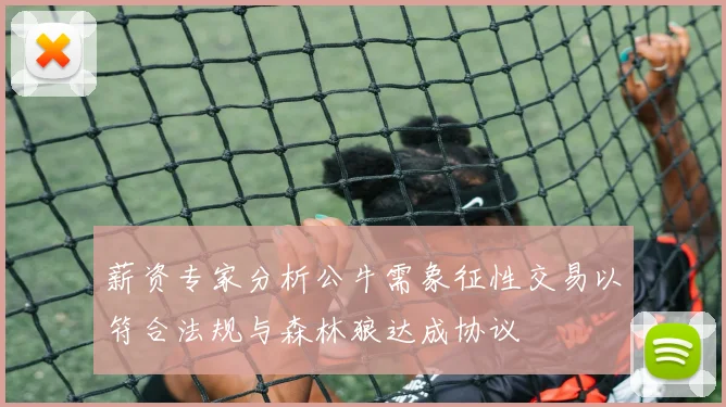 薪资专家分析公牛需象征性交易以符合法规与森林狼达成协议