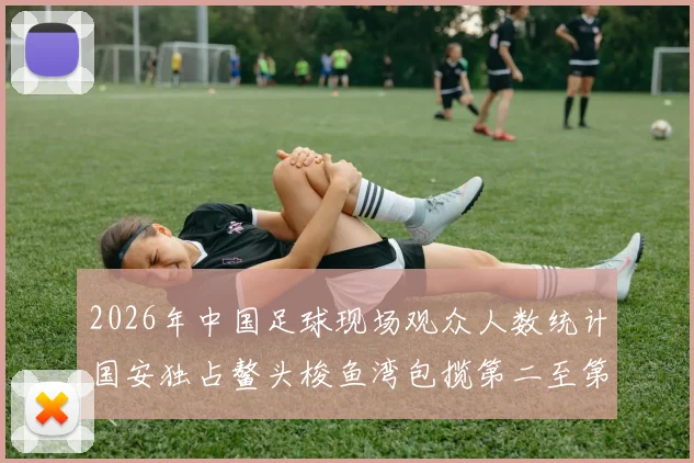2026年中国足球现场观众人数统计国安独占鳌头梭鱼湾包揽第二至第七位