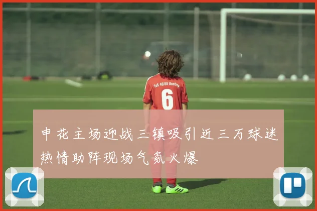 申花主场迎战三镇吸引近三万球迷热情助阵现场气氛火爆