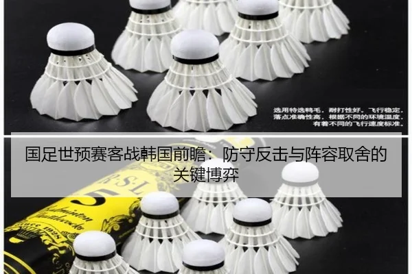 国足世预赛客战韩国前瞻：防守反击与阵容取舍的关键博弈（hthsports）